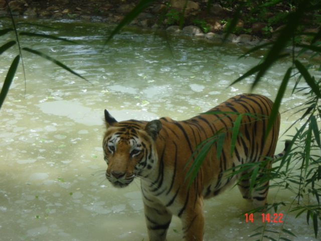 dsc00894.jpg