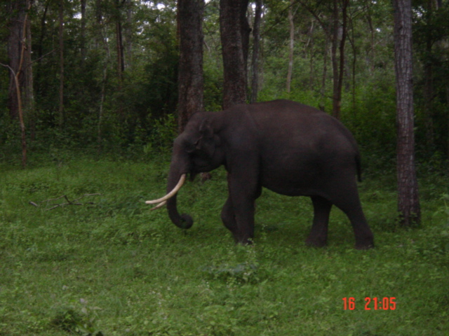 dsc01013.jpg