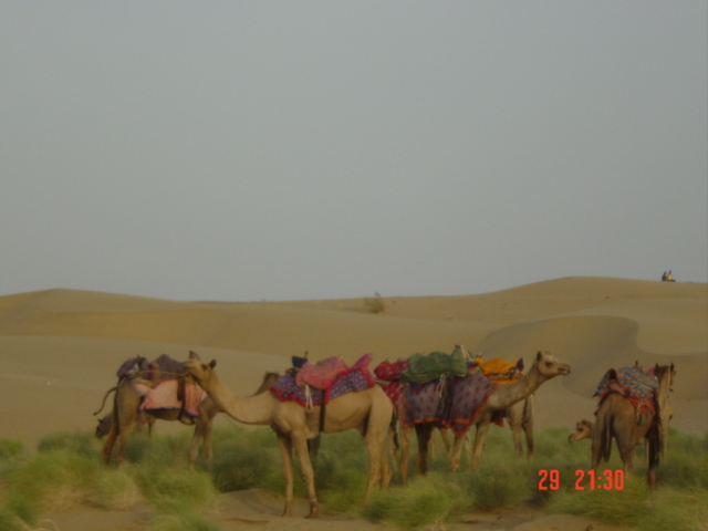 dsc01201.jpg
